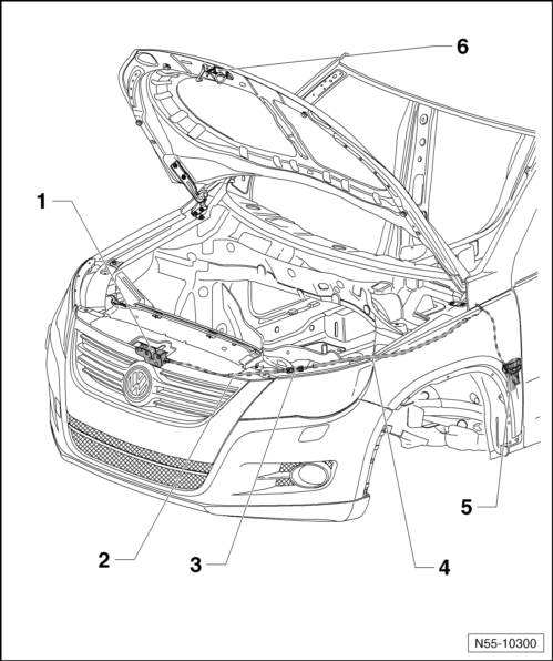 Volswagen Tiguan. Overview - Hood Locking and Unlocking Components