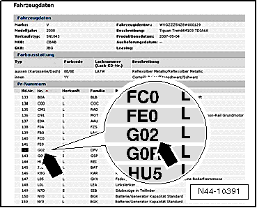 Volswagen Tiguan. N44-10391